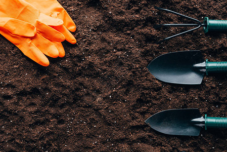 土壤上橙色橡胶手套和小型园艺工图片