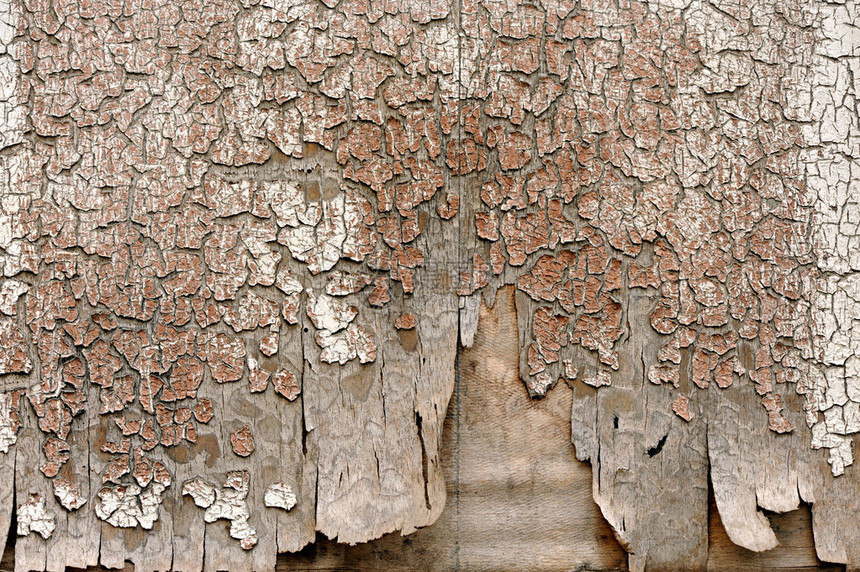 表面干裂的旧剥落木板的垃圾背景纹理图片
