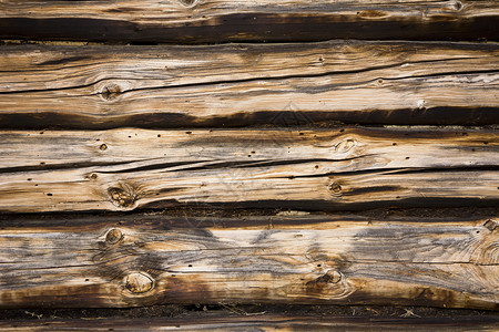 旧木梁的背景被害虫咬伤的旧木墙图片