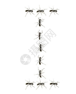 一行工人蚂蚁向字母背景图片