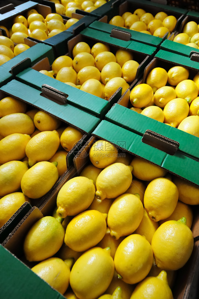 Citrus的案子在图片