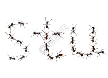 一行工人蚂蚁向字母背景图片