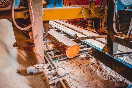 锯木厂在设备锯木厂机锯中加工原木的过程锯木板上的树干木锯末工作锯木图片