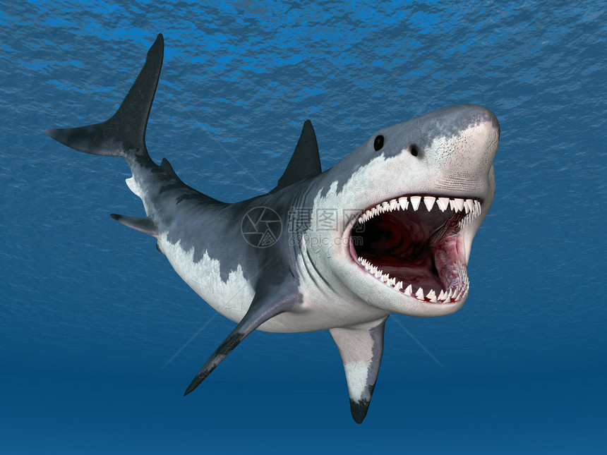 计算机生成的大白鲨3D插图图片