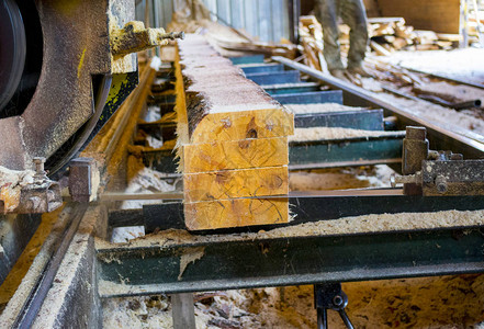 锯木厂在设备锯木厂机锯中加工原木的过程锯木板上的干木锯末工作锯木图片