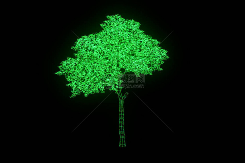 以Wireframe全图样式植树漂亮的图片