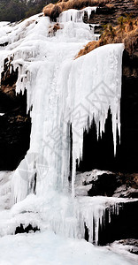 被霜冻的溪水图片