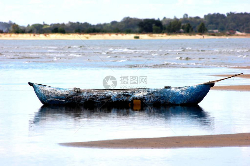 马拉维湖岸浅水中的杜古图片