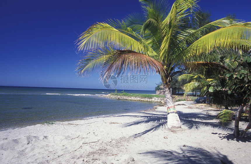 圣佩德罗苏拉附近的Tela海滩在中美洲洪都拉斯海滨的Cari图片