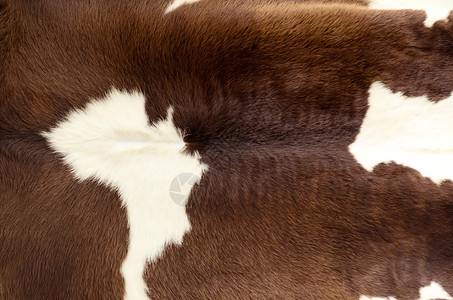 毛皮特写棕色母牛背景和纹理图片