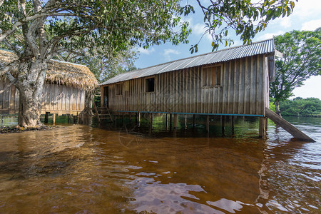 巴西亚马逊雨林中黑河上建造的木图片