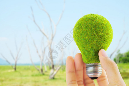 手握生态灯泡能源概图片