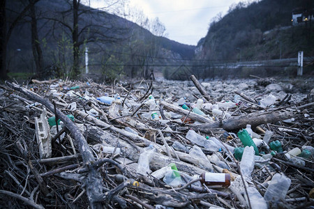 河床塑料瓶污染图片