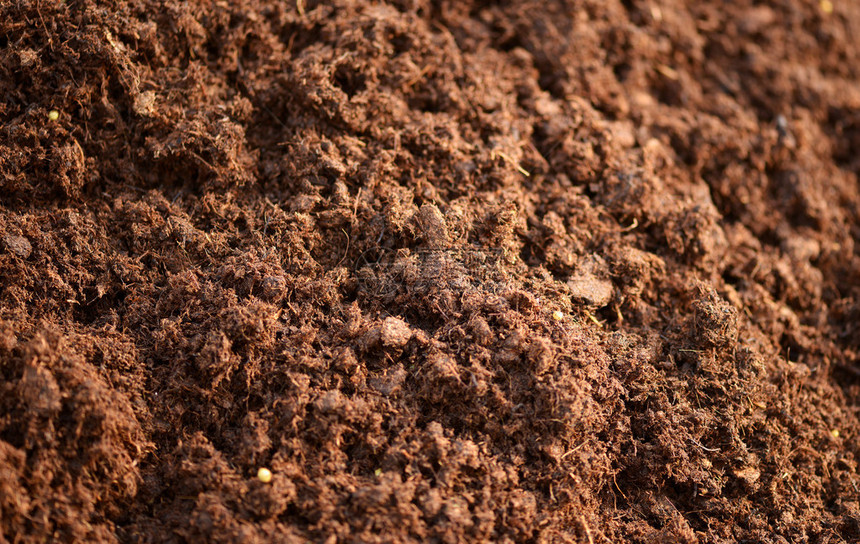 丰富的棕色肥沃表层土的紧背景质地结构图片