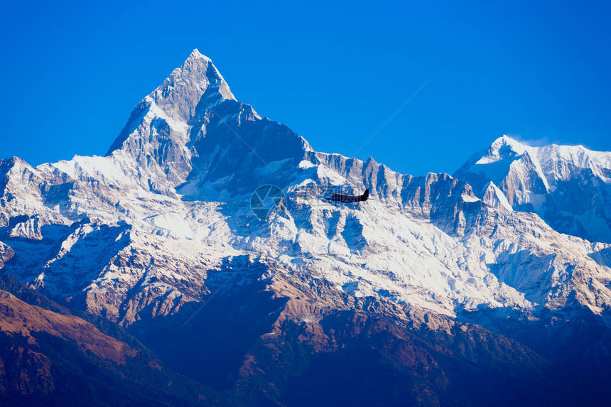 旅游飞机在尼泊尔安纳普尔纳山脉沿线的马查普尔喜马拉雅图片