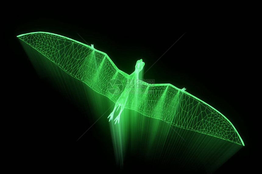 全息无线框架样式中的恐龙Pter图片