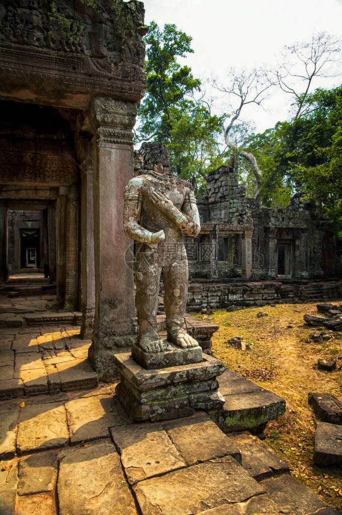 柬埔寨暹粒吴哥古柏汗寺遗址PreahKhan寺已被丛林吞没Amazing是一个受欢图片