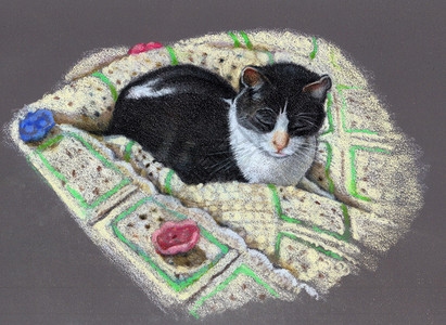 我原本的彩色铅笔画猫在舒适的Afgh图片