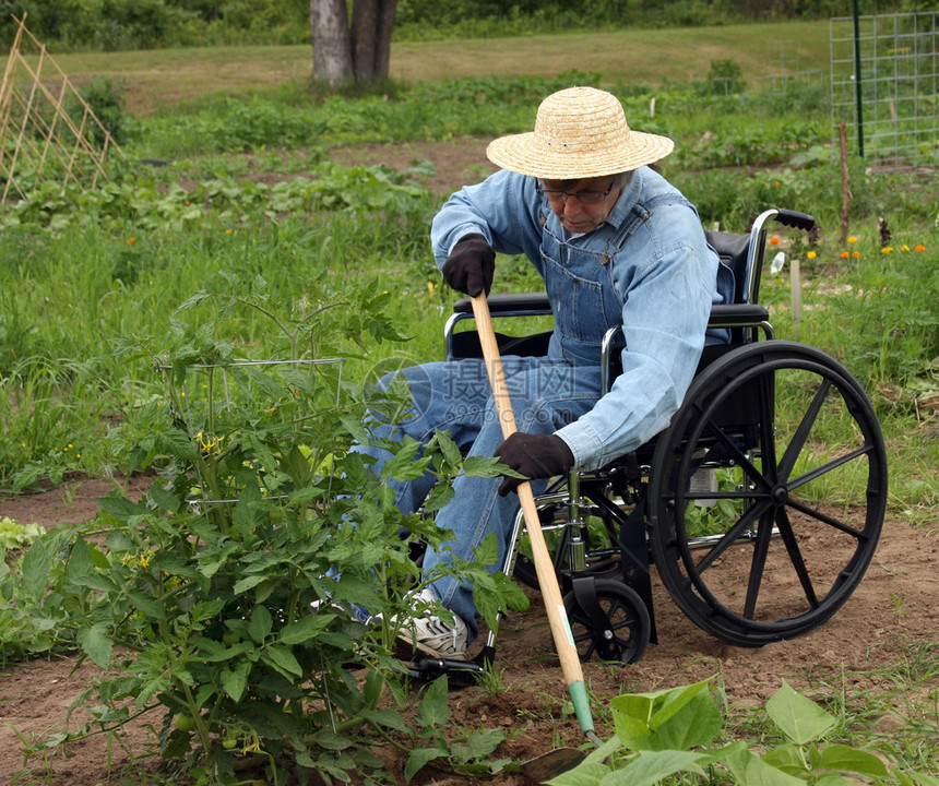 残疾人农民在轮椅图片
