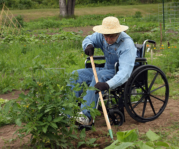 残疾人农民在轮椅图片