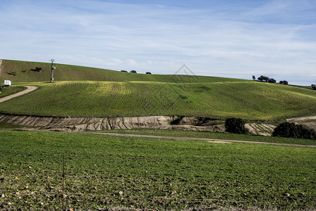 谷物耕地风景图片