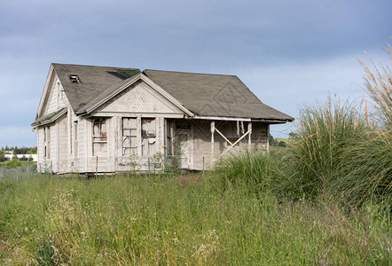 单间平房或家庭住宅被遗弃和杂草丛生需图片