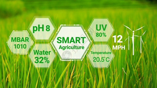 重视粮食发展智能数字农业技术通过未来传感器数据收集管理插画