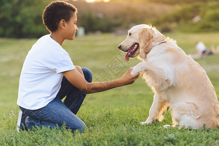 快乐的非洲美国青少年与猎犬图片