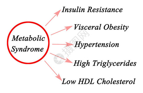代谢综合征的症状图片