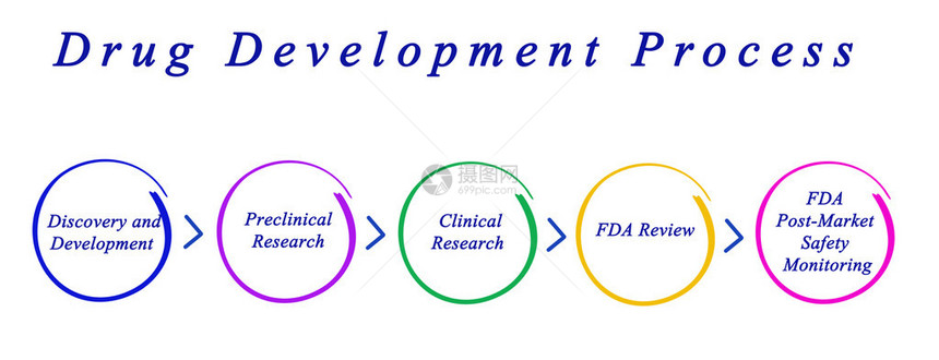 药物开发流程示意图图片