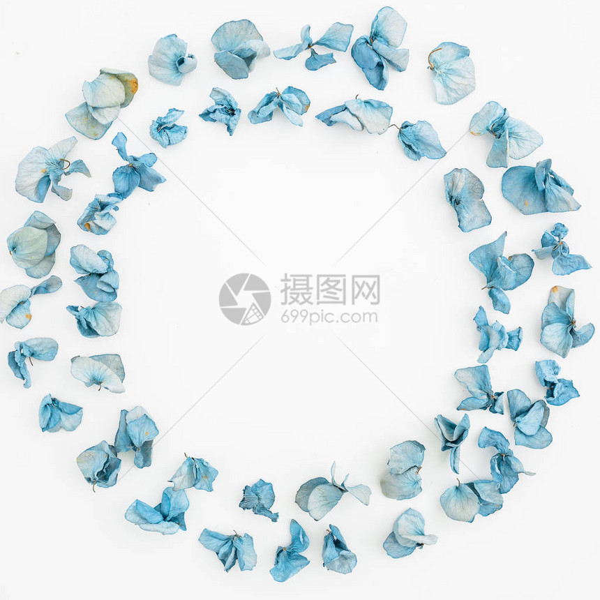 蓝色干花瓣的顶部视图以光底圆形式呈现图片
