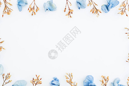 浅色背景中蓝色干花瓣和树枝的顶视图背景图片