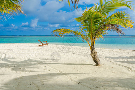 SouthWaterCaye大堡礁的热带小岛背景图片