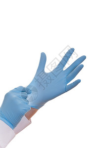 蓝色乳胶手套上的医生的手白背景图片