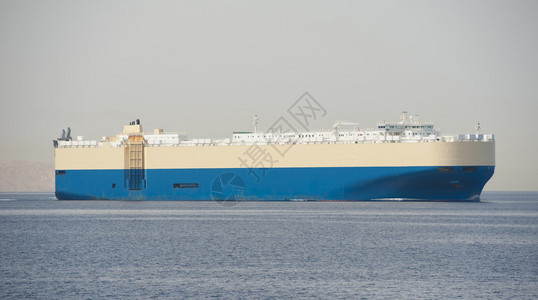 正在出海的大型汽车运输货船图片