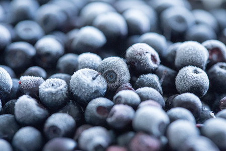 冷冻蓝莓背景近距离图片