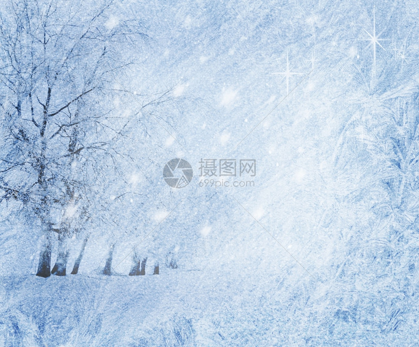 蓝色的冬天背景与树木和雪图片