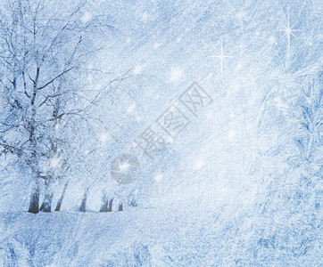 蓝色的冬天背景与树木和雪图片
