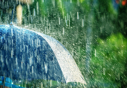 伞下夏雨暴图片