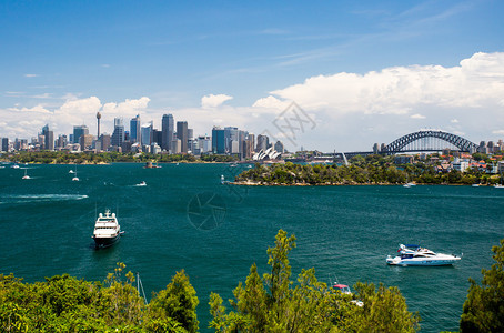 在澳洲悉尼的清夏日图片
