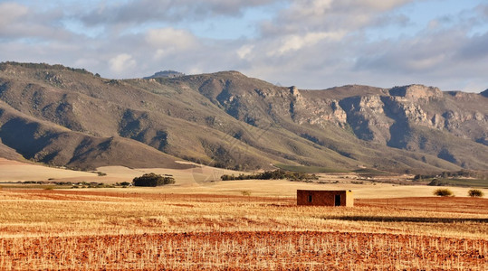 旱田与山的乡村景观背景图片