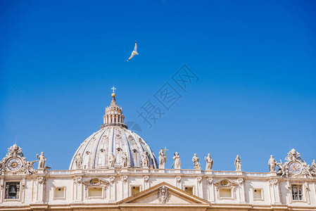 飞过意大利梵蒂冈的圣图片