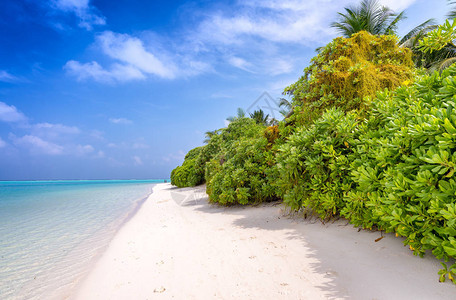 马尔代夫美丽的海滩图片