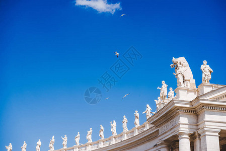 鸟类在意大利梵蒂冈圣彼得斯广场雕像上飞图片