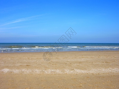 荷兰施韦宁根海滩Scheve背景图片