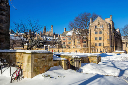 在美国首都新黑文的耶鲁大学楼下雪后冬季的高清图片