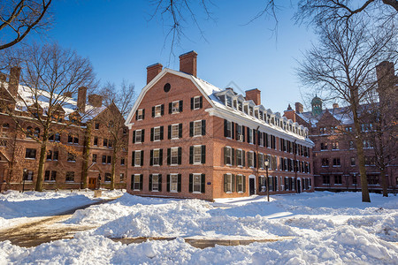 在美国首都新黑文的耶鲁大学楼下雪后冬季的背景图片