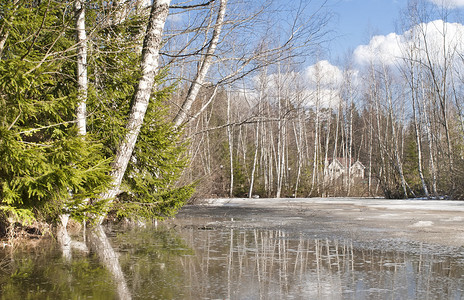 春天在树林里的湖上图片