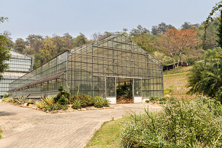 植物园中的温室图片