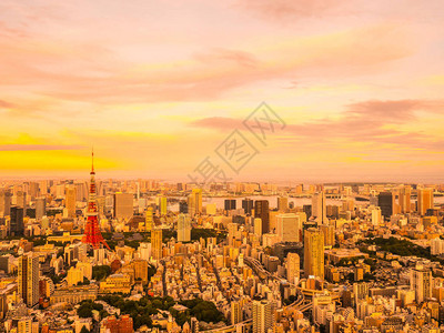 日本落时城周围城市建筑和东京塔楼的美丽空中景象图片